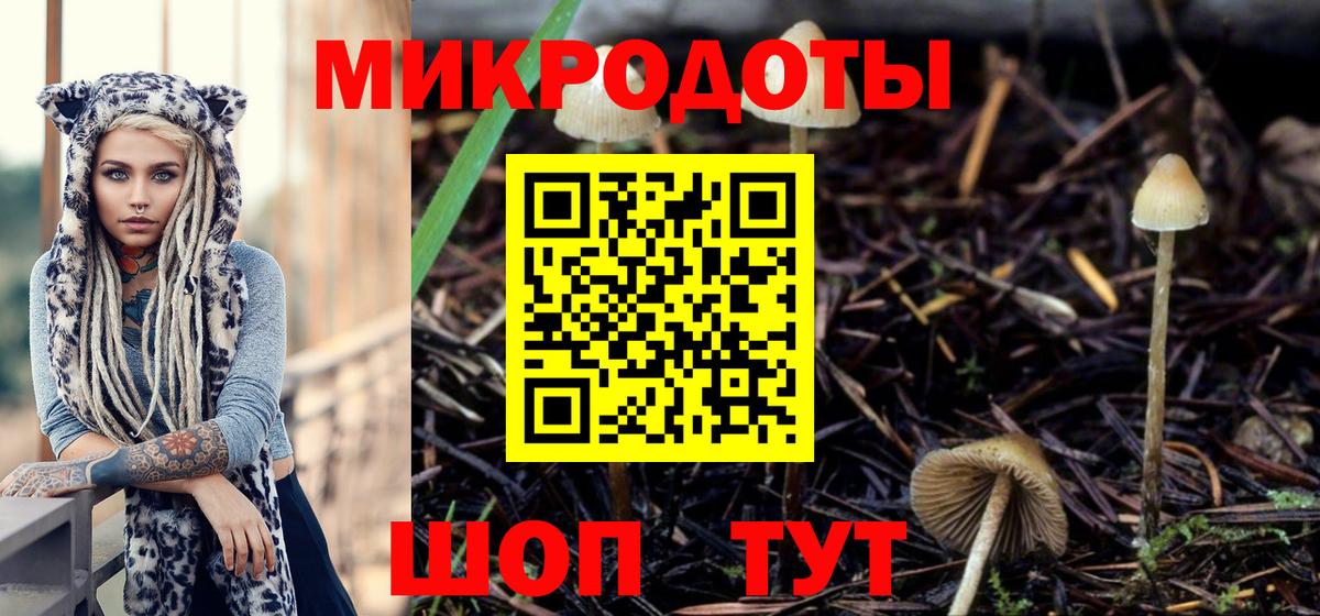 купить наркотик  Галлюциногенные грибы GOLDEN TEACHER  Гагарин  Вход с VPN  Галлюциногенные грибы Psilocybe 